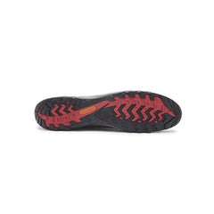 Botin de Seguridad 3431