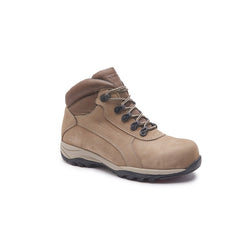 Botin de Seguridad 3431