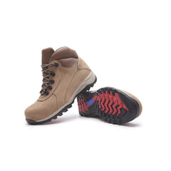 Botin de Seguridad 3431